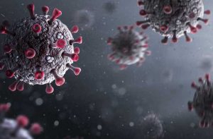 coronavirus