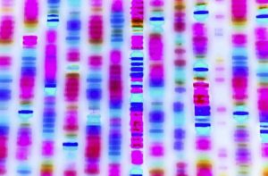 Secuencia genoma humano