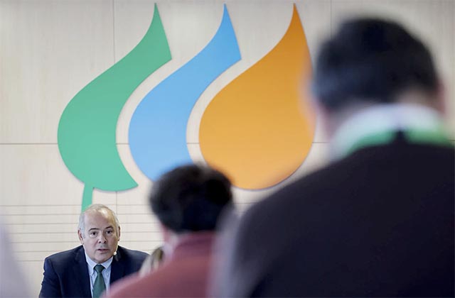 El consejero delegado de Iberdrola, Mario Ruiz-Tagle