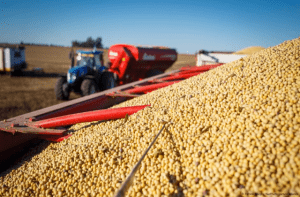 Exportaciones agrícolas de EEUU