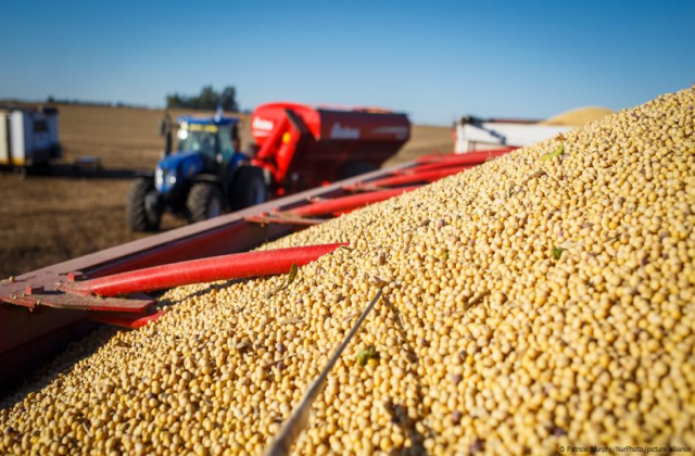 Exportaciones agrícolas de EEUU