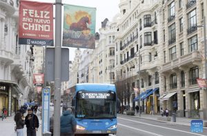 Un cartel con temática del Año Nuevo chino 2026 en Mad