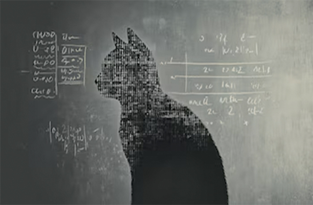 El gato de Schrödinger y la promesa de la revolución cuántica